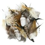 Les plumes naturelles douces sont parfaites pour les loisirs créatifs.