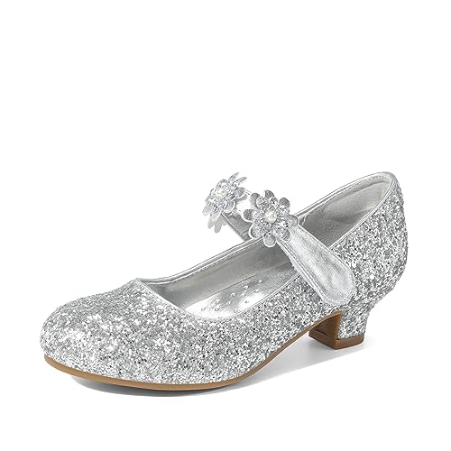 DREAM PAIRS Girls Mary Jane Dress Shoes Pumps Low Heels Flower Party Wedding Princess 12 Little Kid Silver-glitter