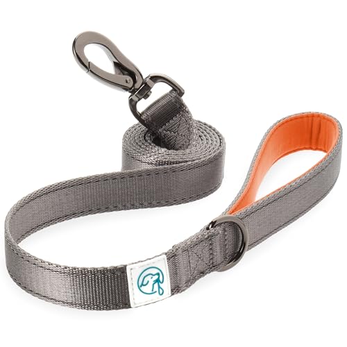 Embark Adventure Dog Leashes - Colorful, Strong Nylon Leashes for Small, Medium & Large Dogs, Heavy Duty Black Leash