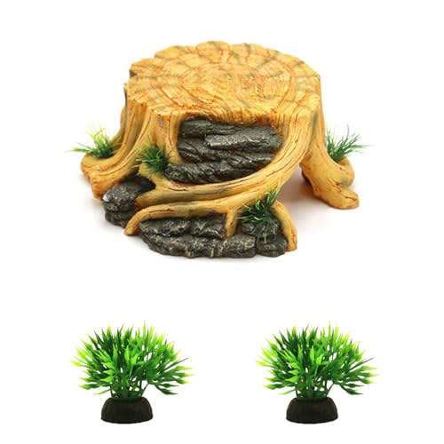 Plateforme pour aquarium stable pour éviter les chutes de vos reptiles