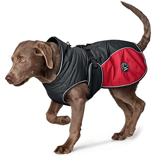 Hunter Dog Coat Uppsala Cozy, 35 cm