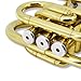 WUQIMUSC Brass Pocket Trumpet Bb Key Nickel Plated with Mouthpiece 7C, Cleaning Kit, Carrying Case, Gloves for Beginners/Students (Golden)