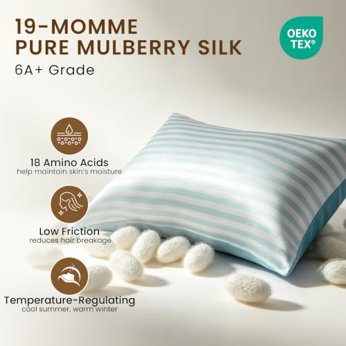 Image of THXSILK Set of 2 Mulberry Silk Pillowcase for Hair and Skin, Cooling Bed Pillow Cover with Hidden Zipper, Soft Smooth Print Silk Pillowcase Gifts for Women Men (Queen 20 inchx30 inch, Blue Stripes)