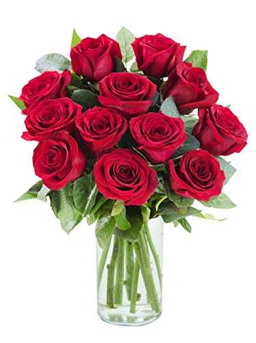 Arabella Bouquets 12 Stems of Fresh Cut Red Roses in a Free Designer