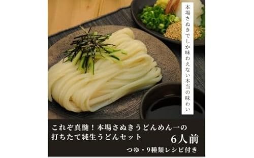 純生!これぞ真髄!本場さぬきうどんめん一の打ちたてうどんセット(6人前)[L-11]