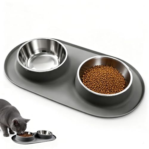 Double Cat Food Bowls with Silicone Base