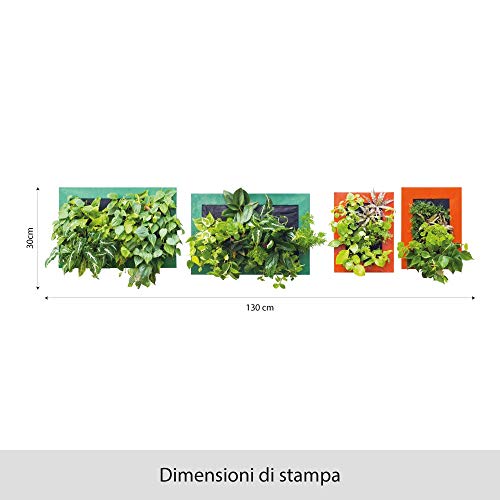 UVCD0044 Wall Stickers decals succulents flowers Wall decoration living room kitchen bedroom entrance - Image 2