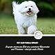 Annimally White Plus Leave-In Spray - Natürliche Kämmhilfe & Glanzspray mit Anti-Gelb Effekt, ph-neutrales Kämmspray ohne Bleichmittel für weiße Hunde - 500 ml