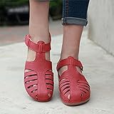 ❤️❤️❤️ GARANTIE À VIE --- L'équipe client HHZY s'efforcera de gagner 100% de satisfaction client. * REMPLACEMENT GRATUIT * ou * REMBOURSEMENT COMPLET * pour les produits défectueux !! Pour toute question, contactez-nous s'il vous plaît.12 heures de réponse par courrier électronique.