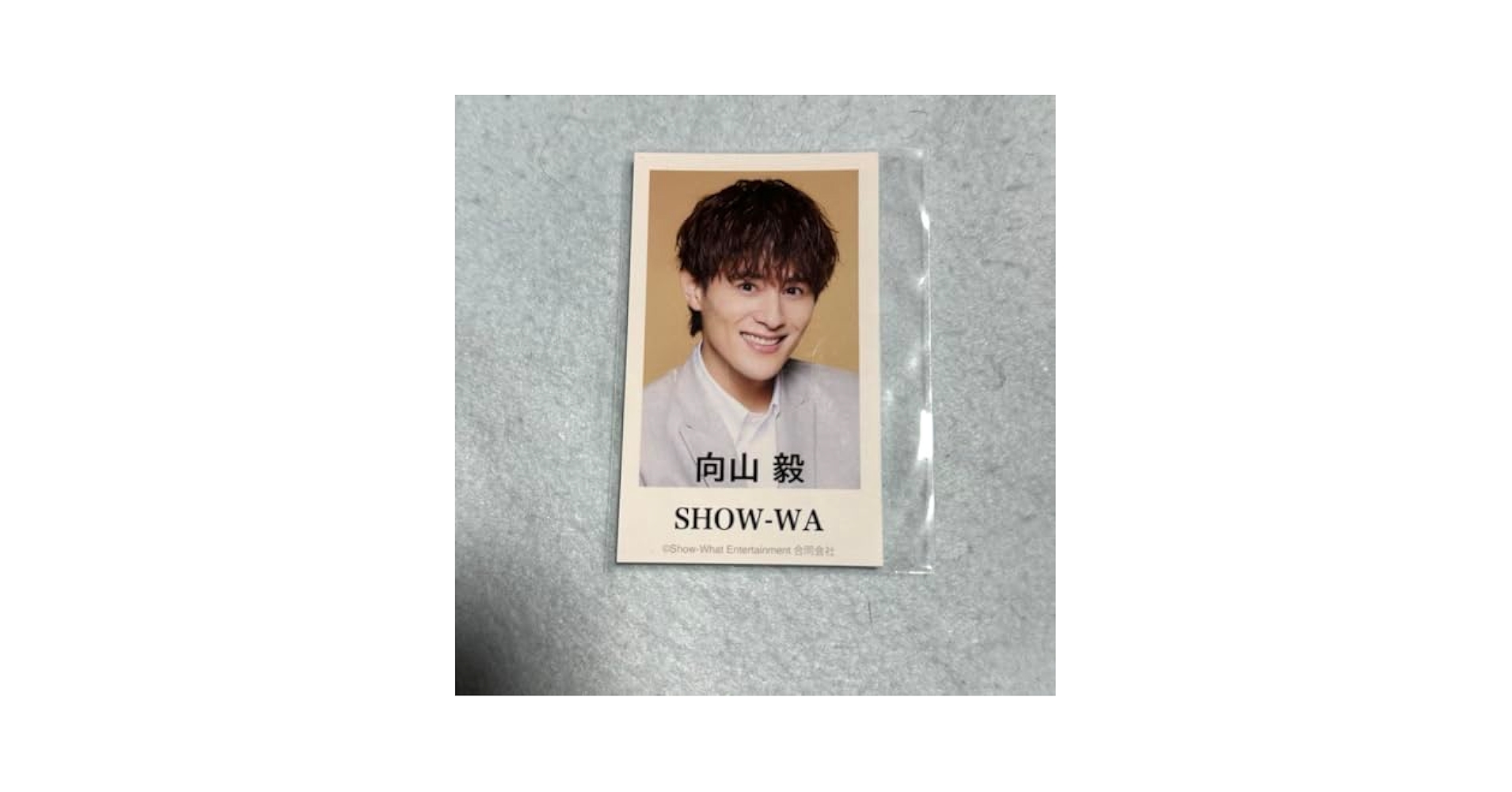 Amazon.co.jp: SHOW-WA 向山毅 ぽかぽか トレカ 写真 : おもちゃ