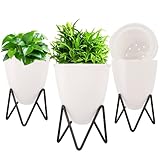【Tamaño del soporte para plantas】 Macetas de Ø10,7 x 11,7 cm, diámetro interior de las macetas de semillas 10,7 x 7,3 cm; Estos son los tamaños de maceta perfectos adecuados para que germinen plantas de interior y semillas de flores.