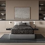 Beautyrest Black Series One 14.25' Medium Queen Mattress - Breathable, Cooling, and Supportive - CertiPUR-US Certified, 100-Night Sleep Trial, and 10-Year Limited Warranty