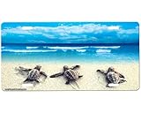 Sea Turtles Beach Front Novelty Car Tag Sign with Custom Background Options