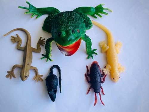 See full amazon price history chart for Cute Frog, Lizard, Cockroach and Rat Toy Set for Kids (Set of 5) Cute Frog, Lizard, Cockroach and Rat Toy Set for Kids (Set of 5) (B0D8H7XDP4) Amazon Price History, Amazon Price Tracker