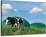 BGTY FTGHRF Canvas Wall Art Decor for Living Room Bedroom Biogas plant and two cows Prints Pictures Paintings Bathroom Kitchen Office Home Decoration Artwork 24x32