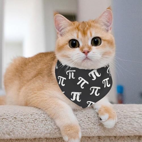 Pañuelo para perros ajustable Pi Day divertido medio miniatura 4