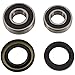 Pivot Works PWRWK-H15-006 Rear Wheel Bearing Kit