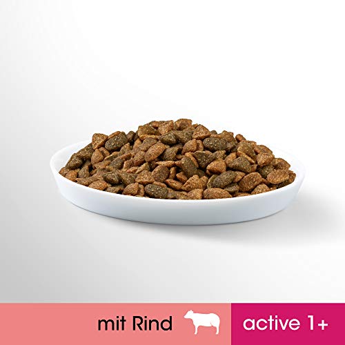 Perfect Fit Active 1+ – Trockenfutter für erwachsene, aktive Katzen ab 1 Jahr – Reich an Rind – Unterstützt die Vitalität – 4 x 1,4 kg