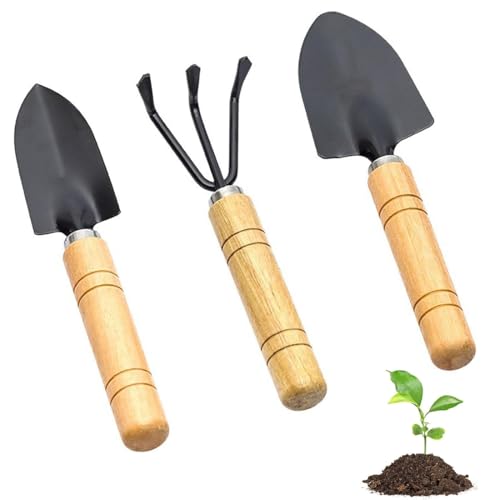 LACHT 3 pcs ensemble Mini-Outils De Jardinage,Comprend Une...
