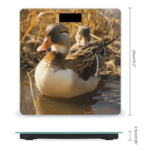 Báscula digital de baño FekiLoot con vidrio templado miniatura 2