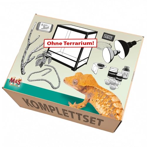 ReptiZoo Komplettset: Für Kronengeckos (60x45x90cm) Terrarium OHNE! Terrarium ReptiZoo Komplettset: Für Kronengeckos (60x45x90cm) Terrarium OHNE! Terrarium