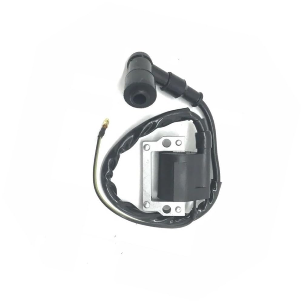 Bobine d'allumage pour rénover le moteur de votre tondeuse TS100