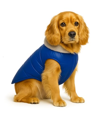 Image of The Pets Company Dog Winter Coat Jacket, Clothes, Windproof, Waterproof, Light Weight, Washable, Ultra Warm Thick Fleece Lined Dog Vest for Cold Weather Protection, (Blue, Medium - 18 Inch)