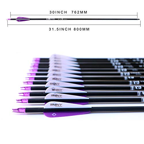 image for TIGER ARCHERY 30Inch Carbon Arrow Practice Hunting Arrows with Removab