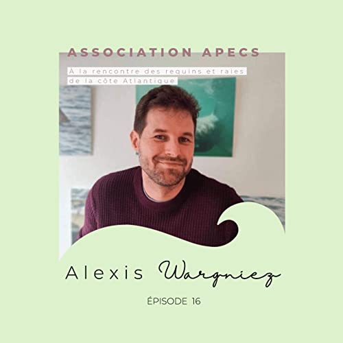 Alexis Wargniez, pr&eacute;sident de l'APECS : &agrave; la rencontre des requins et raies de la c&ocirc;te Atlantiq