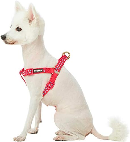 free step in dog harness pattern