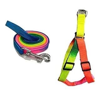 RvPaws Rainbow Soft Cute Step-in | No-Pull & No-Choke | Small/Medium Dog Girl Boy Harness and Leash Set ( Multicolor, Size: S)