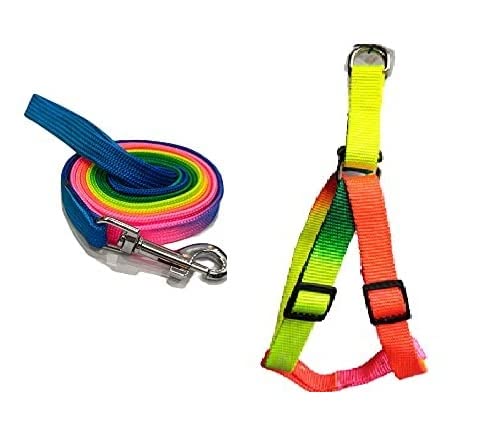 RvPaws Rainbow Soft Cute Step-in | No-Pull & No-Choke | Small/Medium Dog Girl Boy Harness and Leash Set (Multicolor, Size: S) (B09J28W71H) Amazon Price History, Amazon Price Tracker