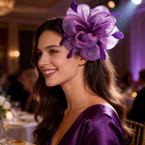 Image of DRESHOW Fascinators Hat Tea Party Headwear Ribbons Feathers on a Headband and a Clip for Women
