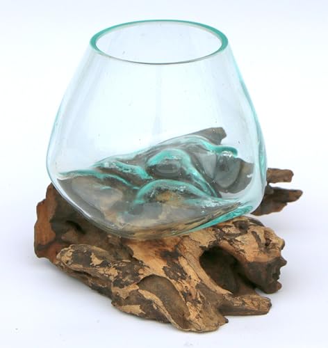Balibarang-Shop Idée Cadeau Décoration Gamal - Vase en Verre avec Racine en Bois de Teck de Bali, Diamètre 10 cm, Noir, Forme Irrégulière, Bois de Teck,...