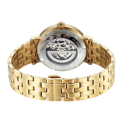 Image of Titan Yin Yang Skeletal Automatic Analog with Green Dial Silver Gold Steel Strap Watch for Men - 90222YM01