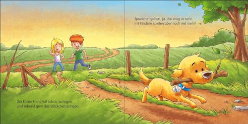 Gute Nacht, kleiner Hund!: Beruhigendes Pappbilderbuch zum Einschlafen ab 2 Jahren (Loewe von Anfang an)