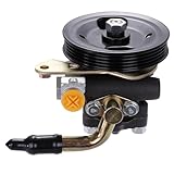 ECCPP 21-5933 Power Steering Pump Power Assist Pump Fit for 1996-2001 Infiniti I30, 2002-2004 Infiniti I35, 1995-2003 Nissan Maxima