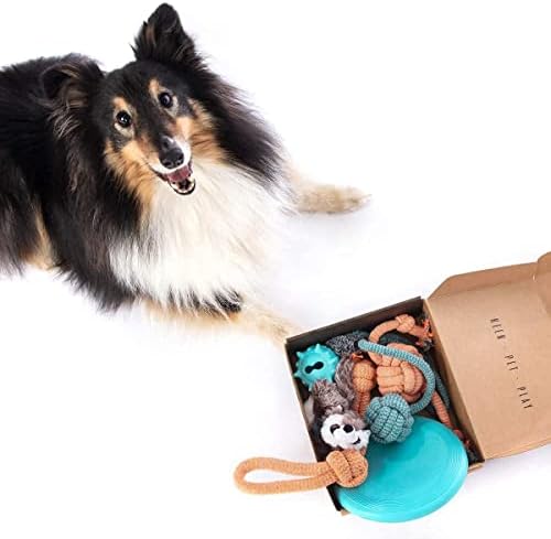 Keen.Pet.Play 6 Pcs Dog Toy Box with Interactive Dog Toys for Boredom - Dog Birthday Present Dog Chew Toys for Puppies Teething - Training Puppy Chew Toys from 8 Weeks