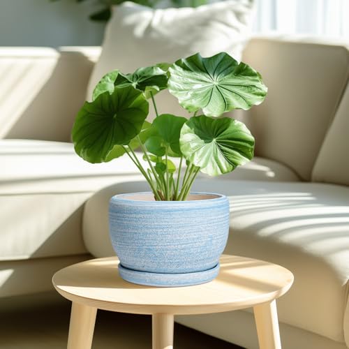 SQOWL Ceramic Planter - 8 inch Pot for Plants Indoor Outdoor, Modern Ceramic Flower Pot with Drainage Hole and Saucer, Decorative Round Planter, Home Office Decor, Plant Lovers Gifts, Blue by SQOWL - Image 2