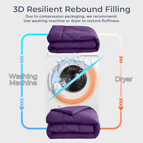 HEVUMYI Purple Queen Comforter Set - 7-Piece All Season Bed in a Bag Queen, Ultra Soft Bedding Set with Comforter, Flat Sheet, Fitted Sheet, Pillowcases, Pillow Shams