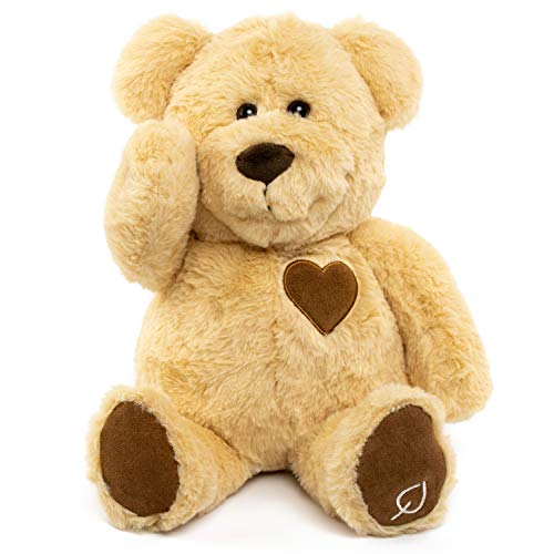Cuddles Aroma Bear Stuffed Animal - Essential Oils & Aromatherapy Diffuser Teddy Bear