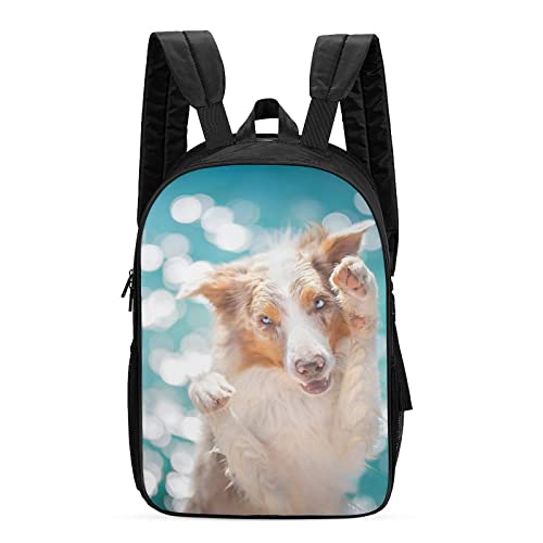 Mochila Collie unisex de 42x30x13cm para adolescentes y adultos