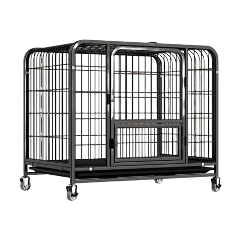 S[fgo[ uh[p [tog[ hbOP[W SP[W T[N ybgT[N ybgP[W ܂肽݉\ LX^  ̃P[W  gȒP Eoh~ Op ybgpi (ubN, L: 95x