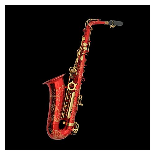 TSTS E-Flat Alto Saxophone S[fL[TbNX ^JTbNX tLbg̉tɓKĂ܂