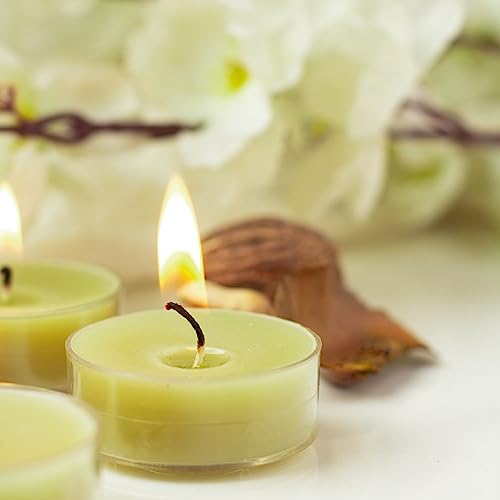 Image of AuraDecor Scented Soy Wax Acrylic Tealight Candle, Organic Luxury Aroma, Aromatic /Aromatherapy Candle || Long Lasting Burning Time (Pack of 1, Lime Basil & Mandari)