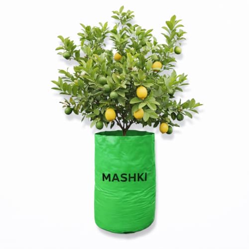 Image of MASHKI 18x24 Inch Extra Deep Grow Bag for Guava, Dwarf Mango & Fruit Plants | 300 GSM Heavy Duty HDPE | Long Life UV Stabilized Tree Planter for Terrace & Garden (2, 18x24 Inches, 300 GSM)