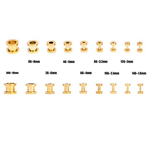 Cabbe 18Pcs Ear Tunnels Kit Stainless Steel Screw Fit 14G-00G Gauges Plugs Set Double Flared Stretcher Expander Body Piercing Jewelry (Goldtone) #TOP3