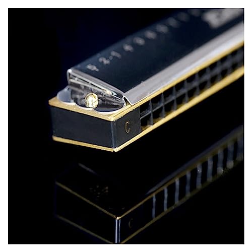 PacuM Harmonica by Instrument Key 24 trous Harmonica Professional Tremolo Harmonica Harp 24 Hole C Key avec étui Harmonica - Les Beatles, Paul McCartney, John Lennon, RIngo Starr, George Harrison PacuM Harmonica by Instrument Key 24 trous Harmonica Professional Tremolo Harmonica Harp 24 Hole C Key avec étui Harmonica – Image 6