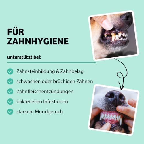 BugBell 60g Knabbersticks DentalShine – vegane Dental Snacks fettarm