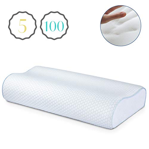 Top 16 Best Cervical Pillows For Neck Pain Alltopguide